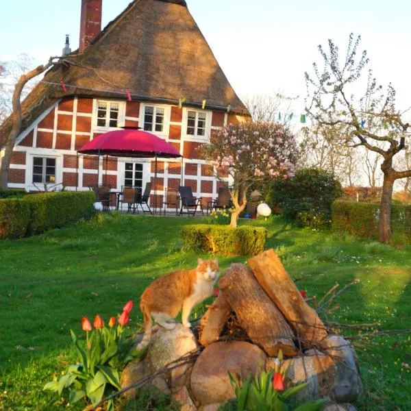 Luxus-Landhaus mit Sommer Pool, Terrasse, Kaminofen, nah an der Nordsee, 2 Schlafzimmer, hotel v mestu Hemmoor