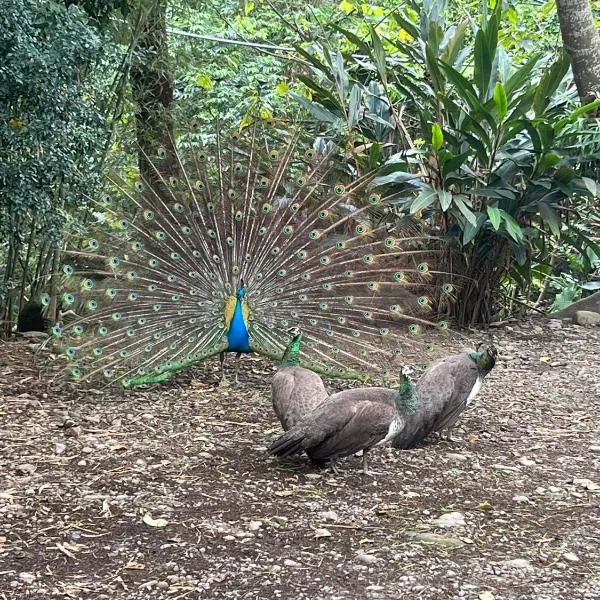 拇指園民宿, מלון בGuanxi