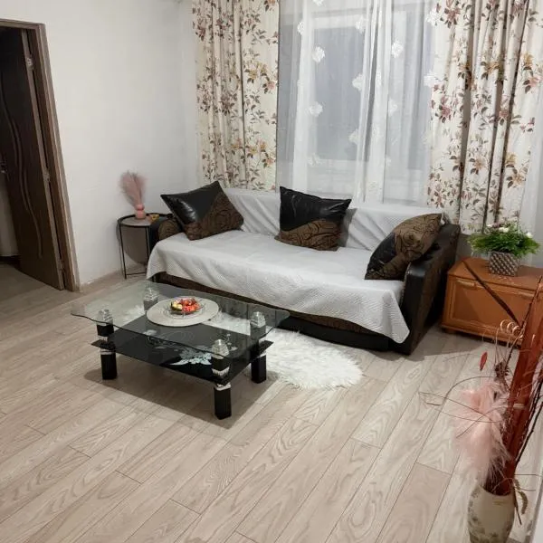 Apartament de inchiriat, ξενοδοχείο σε Caransebeş