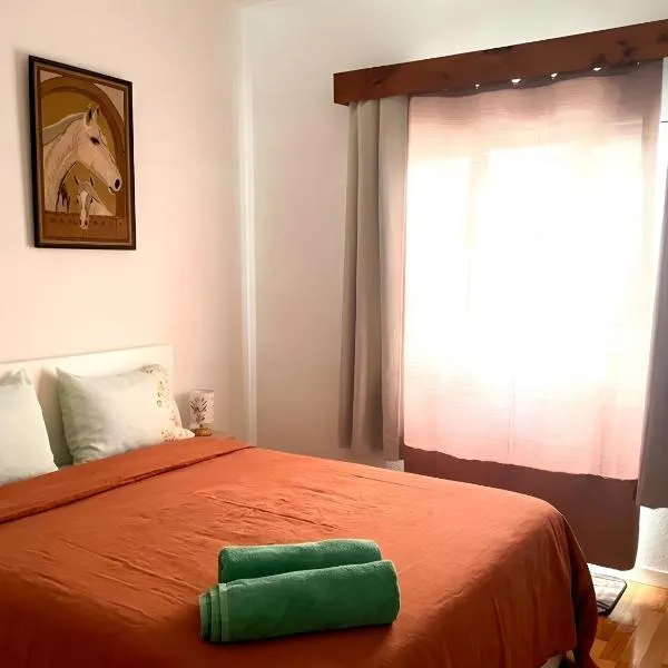 apartment near the airport, hotel Ponta Delgadában