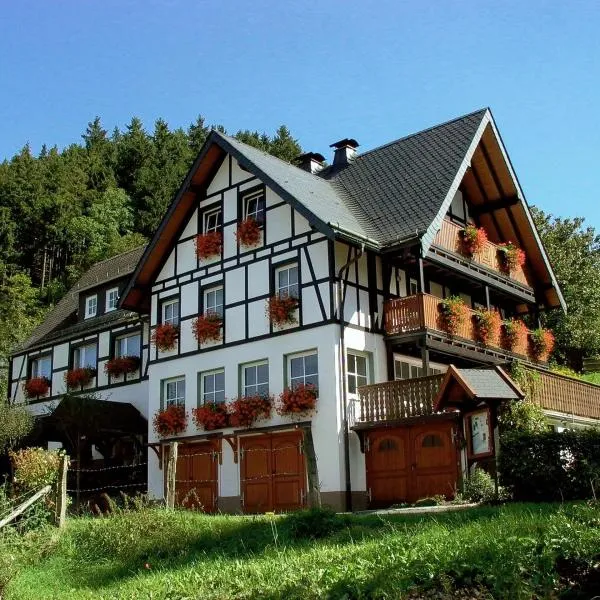 Lauras - Landhauspension, hotel en Medebach