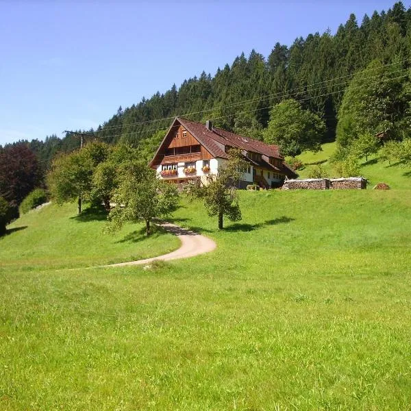 Vogtshof, hotel in Bad Rippoldsau-Schapbach