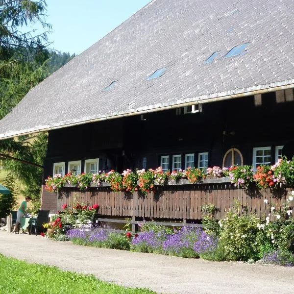 Kammbühlhof, Hotel in St. Blasien