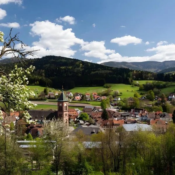 Fewo Blumenweg, Hotel in Elzach