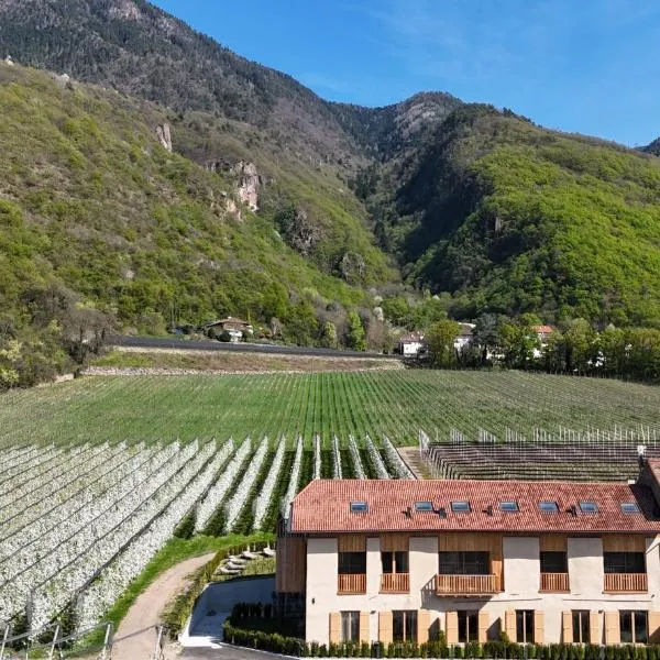 Viesnīca Maso Renner pilsētā Laivesa