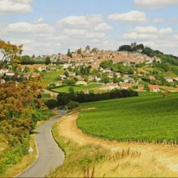 Entre vignes et Loire 2, hotel i Thauvenay