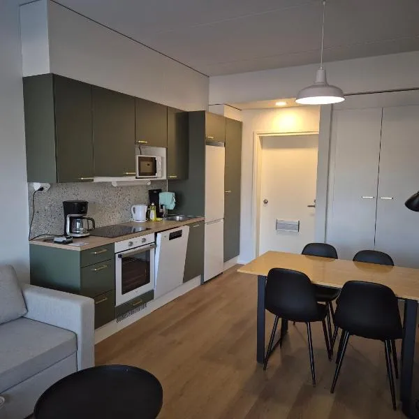 1st floor, 33m2 1-bedroom app, sauna, close to the shop, airport and train station, hotel en Vantaa