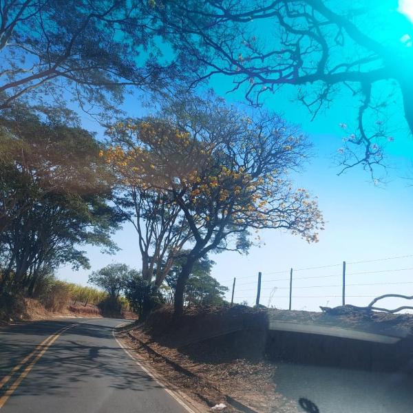 Chácara aconchegante em Ibitirama - Foto 2