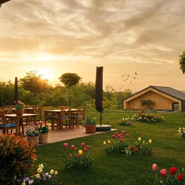 Zen Resort & SPA, hotel di Purcari