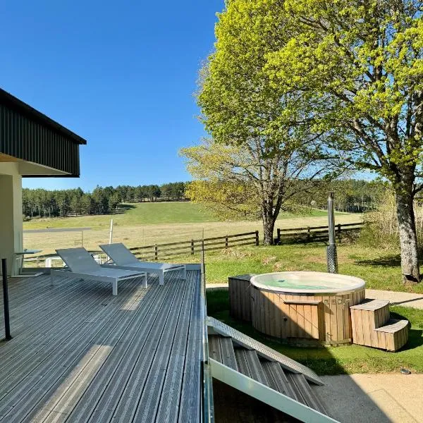 Domaine de Mende Brenoux Suites & SPA, hotel u gradu Mend