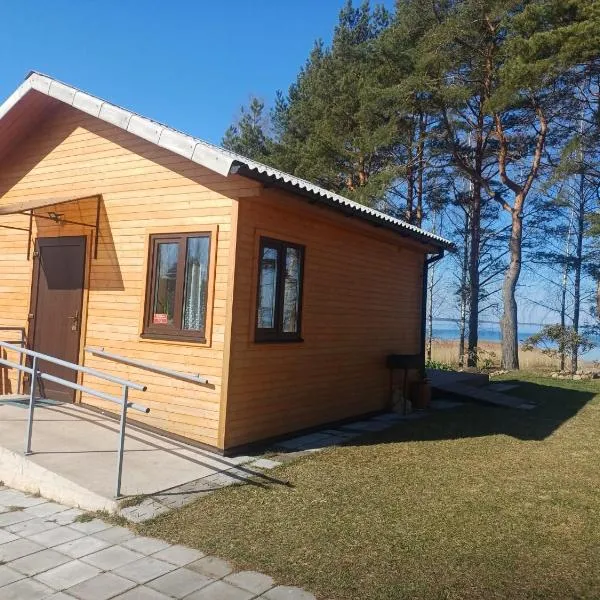 Viesnīca Rāznas ezera namiņš D1 ar elektrisko apkuri pilsētā Ragi