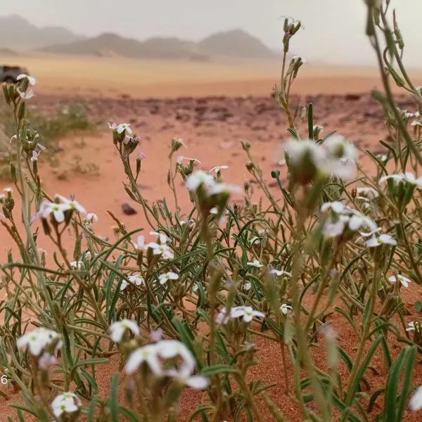 Rum Legend Experience, hotel din Wadi Rum