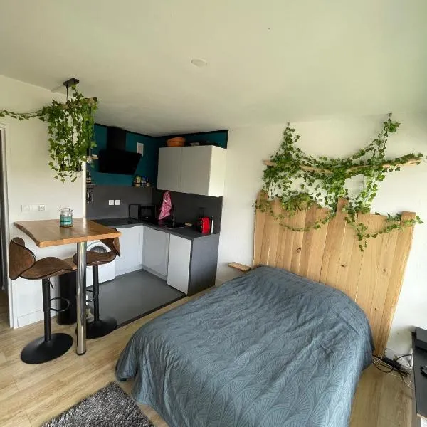 Au Cosy Studio I proche Europapark, hotel v destinaci Erstein