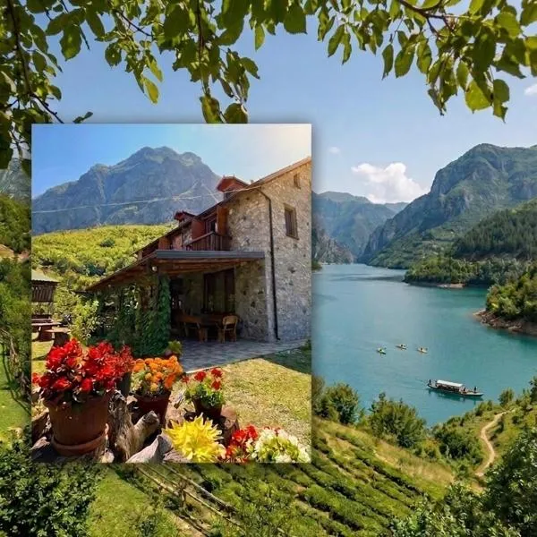 Guest House Aprripe Guri, hotel Fierzë városában