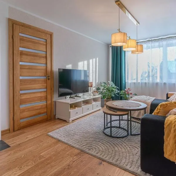 One bedroom apartment, готель у місті Вільянді