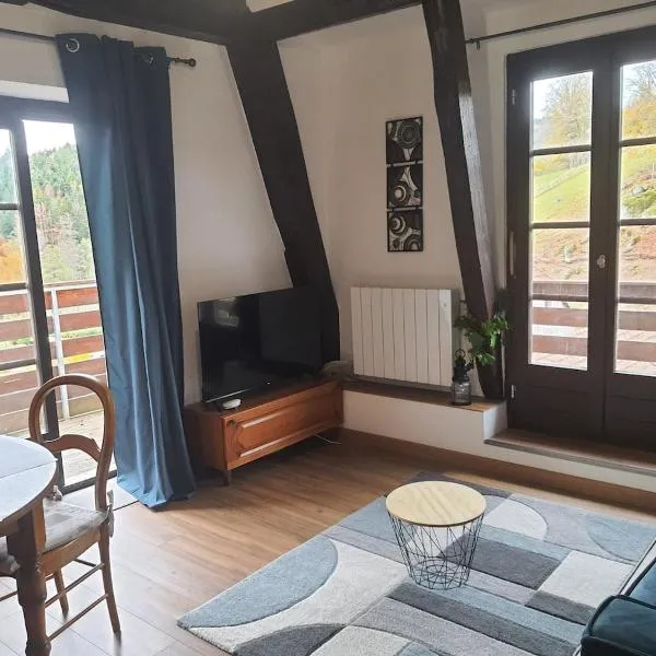 Cozy studio in Hohwald Nature & relaxation guaranteed, hotel i Le Hohwald