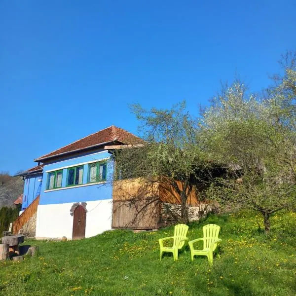 Casa La Casiru 17: Straja şehrinde bir otel