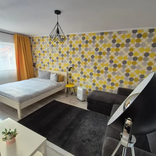 Dream Studio 2 Petrosani, Hotel in Petroşani