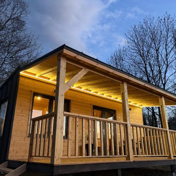 The Little House, hotel en Sohodol