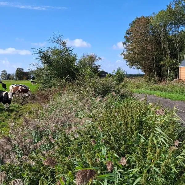 Buorkerijhûske A - Tussen Wad en Weide, hotel a Hallum