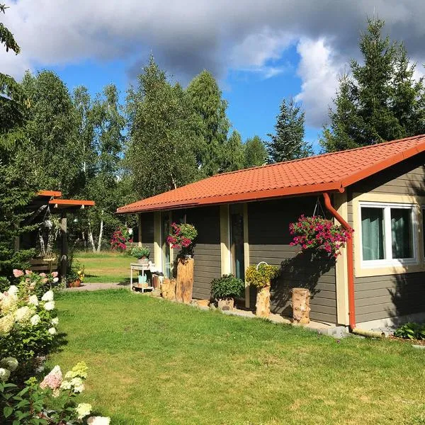 Leśne Chatki Kaszuby – hotel w mieście Dziemiany