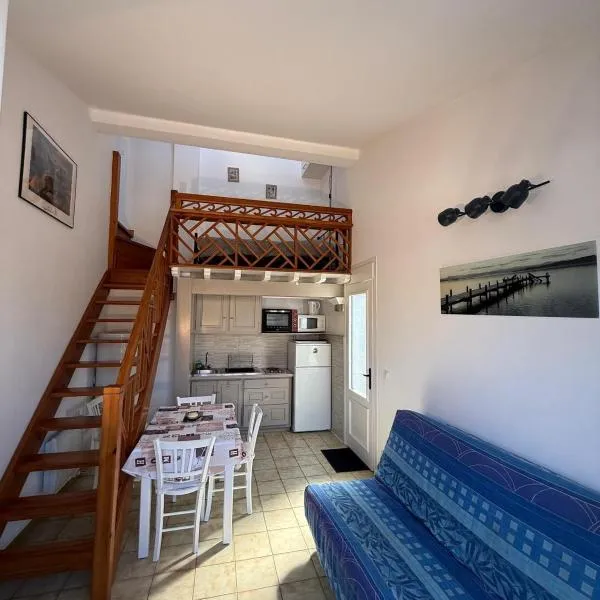 appartememt pres de la mer avec terrasse n1, hotel in Saint-Cyprien-Plage