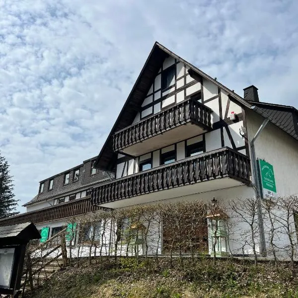 Pension Mountain View Sauerland, hôtel à Winterberg