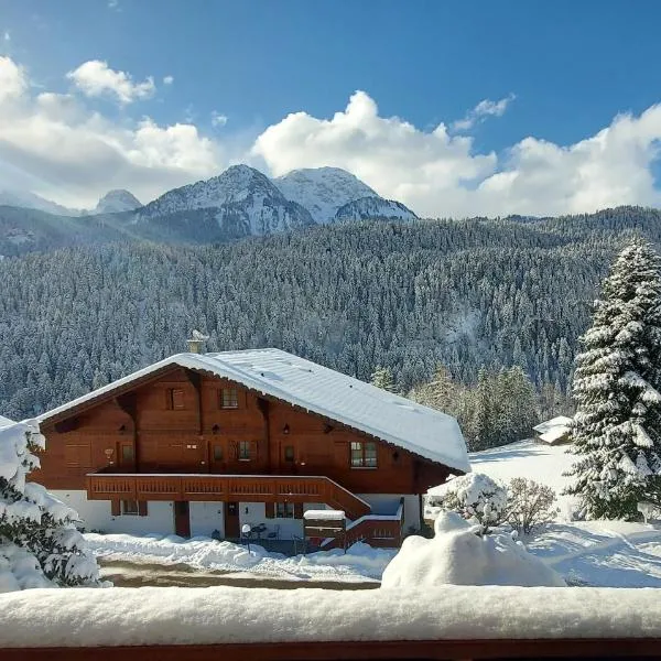 Chalet Valentina, ξενοδοχείο στο Chateau-d'Oex