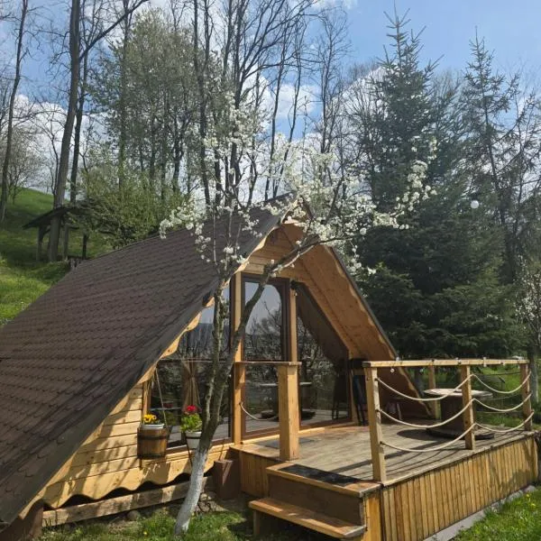 Casa Matteo & Camping – hotel w mieście Albestii de Arges