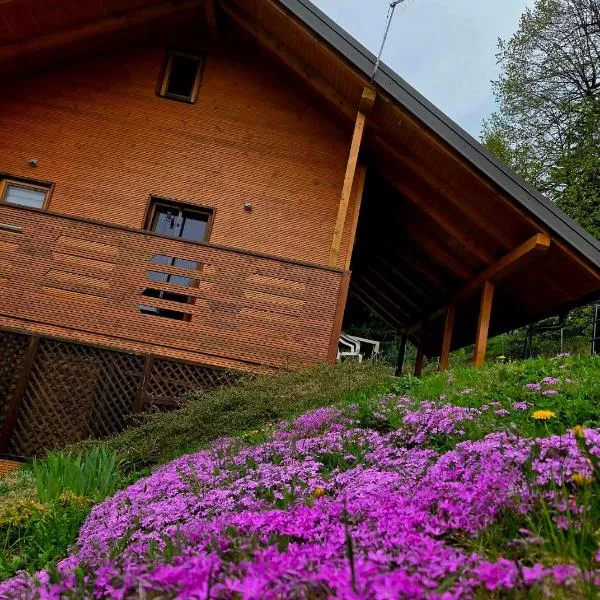 Romantic cabin in the woods - Fesnga, Slovenia, hotel di Slovenj Gradec