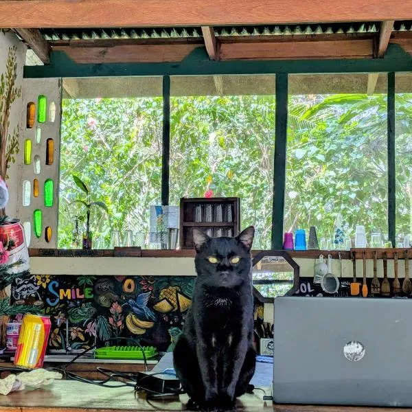 Smile Jungle Hostel, מלון בפוארטו ויאחו