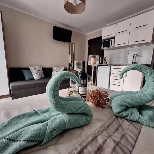 Willa Jarmar - sala kominkowa z bilardem, wewnętrzny oraz zewnętrzny plac zabaw – hotel w Brennie