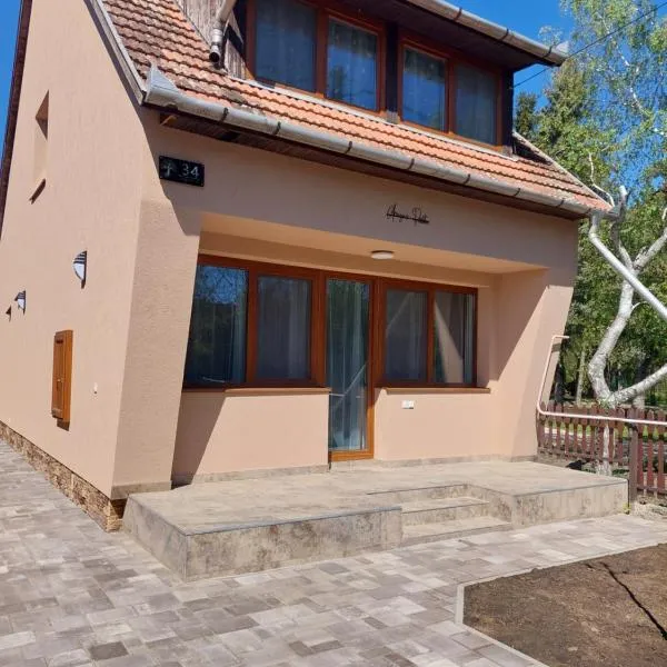 Árnyas Part Vendégház, hotel en Gyomaendrőd