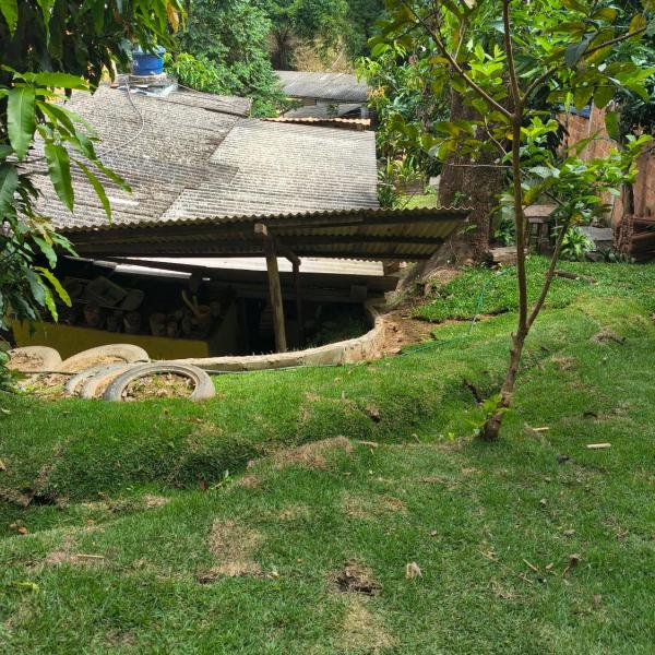 Hospedagem Natureza na Dutra canto dos pássaros