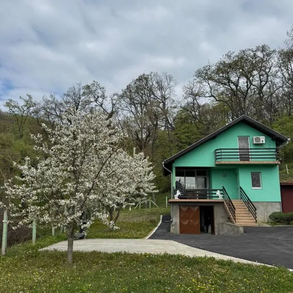 Fruškogorska bajka, hótel í Velika Remeta