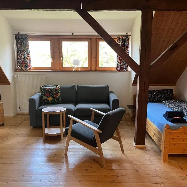 Pfarrhaus Tollensesee, Hotel in Penzlin