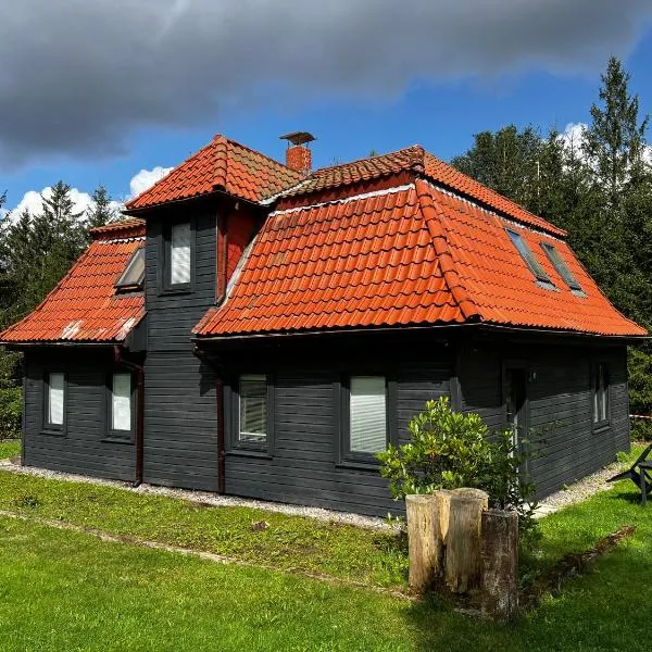 Ferienhaus am Waldschwimmbad, Hotel in Altenau