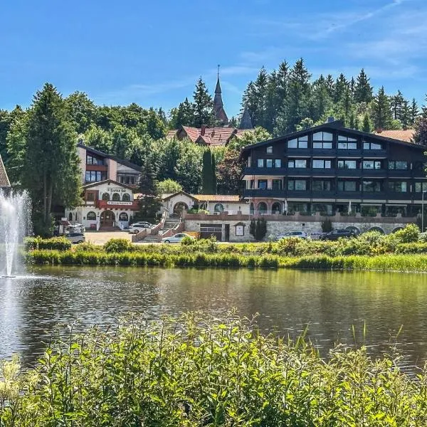 Hotels am Kranichsee – hotel w mieście Hahnenklee-Bockswiese