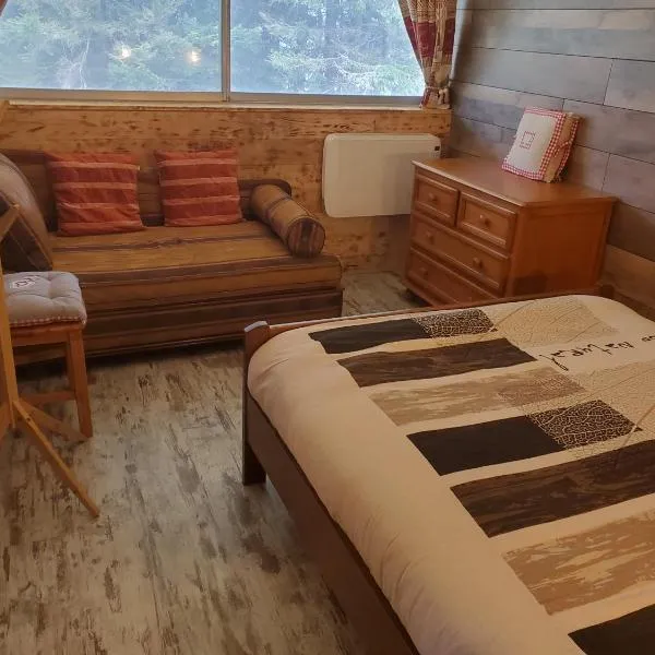 Appartement montagne style chalet, hotel Vassivière városában