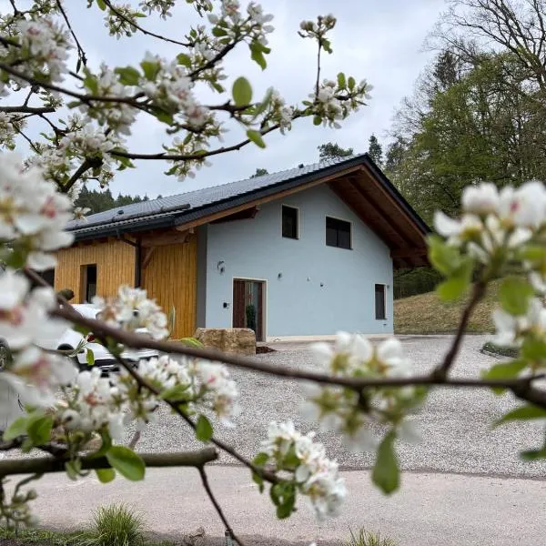 Waldhaus, hotell sihtkohas Zöllnitz