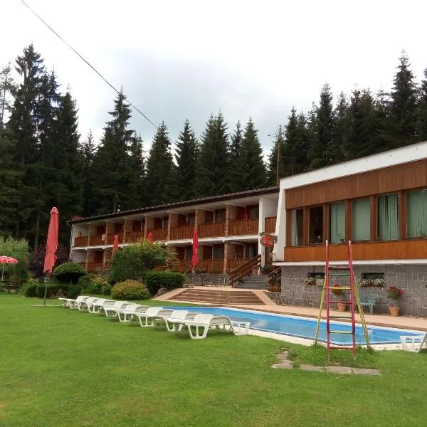 Lesní pension – hotel w mieście Lipno nad Vltavou