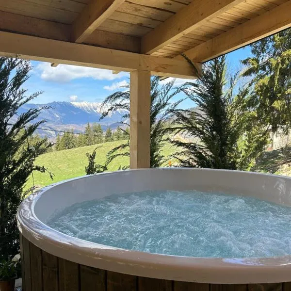 Virajlux, hotel i Dâmbovicioara