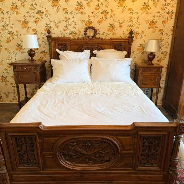 Château de Trévien, khách sạn ở Trévien