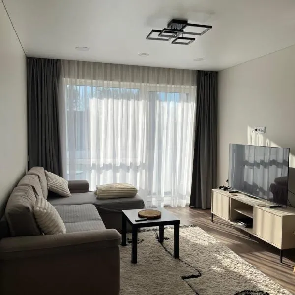 Modern apartment with Free parking - 10 min to airport, 15 min Center, hotel a VNO