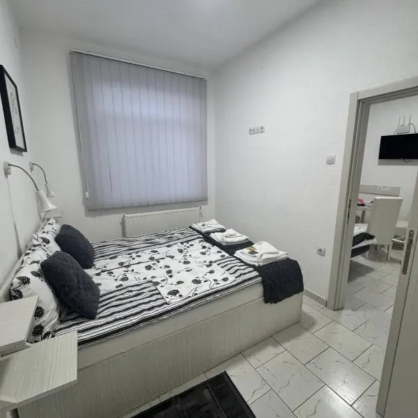 Vila Cirkovic - 200m od mermernog setalista – hotel w mieście Sokobanja