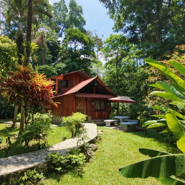 Tropical Forest Adventure Near Arenal Volcano、Chachaguaのホテル
