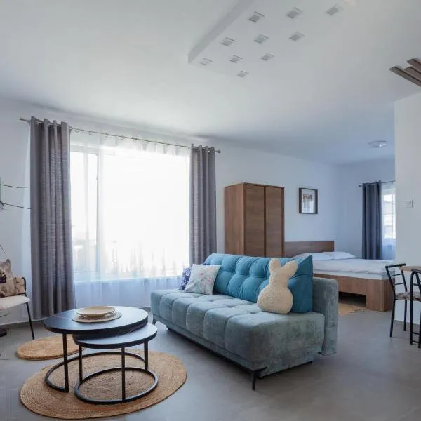 Arena Studios, hotell i Sfântu Gheorghe