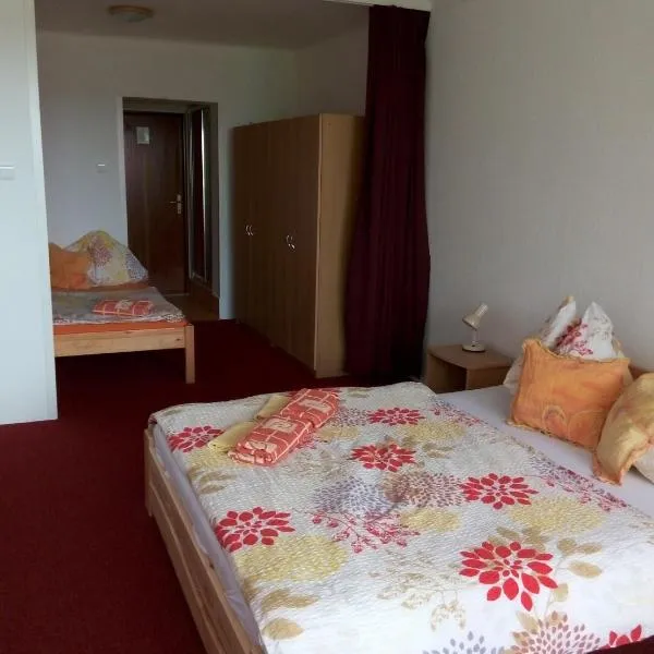 Lesní pension: Lipno nad Vltavou şehrinde bir otel