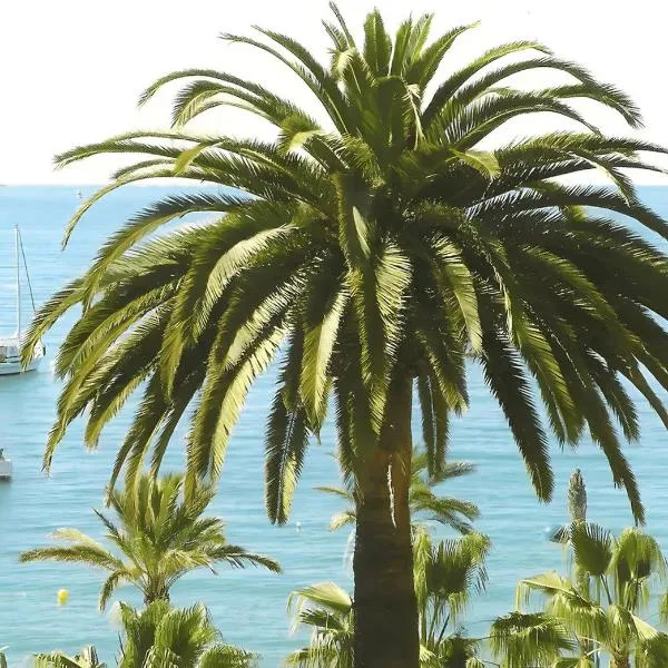 Studio climatisé proche parking gratuit, commerces et plages, hotel en Carqueiranne