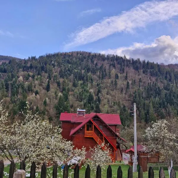 Pensiunea Cabana Viselor ,Apuseni, hotel a Vadu Moţilor